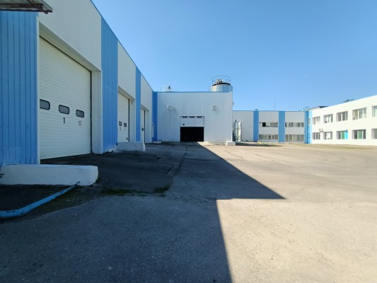 Urgent Sale of an Existing Cheese Production Plant