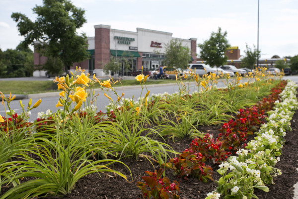 Commercial Property Maintenance
