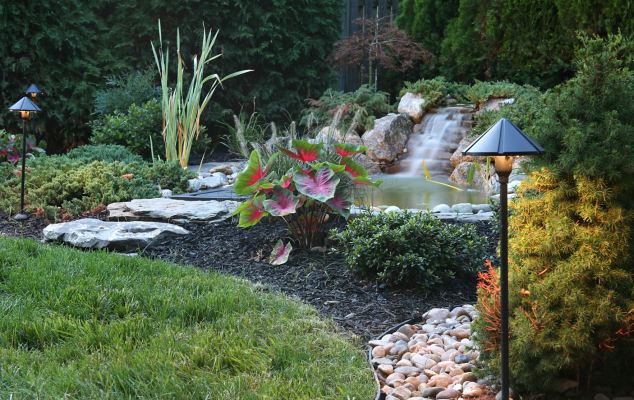 San Francisco Bay Area Landscape & Design Business
