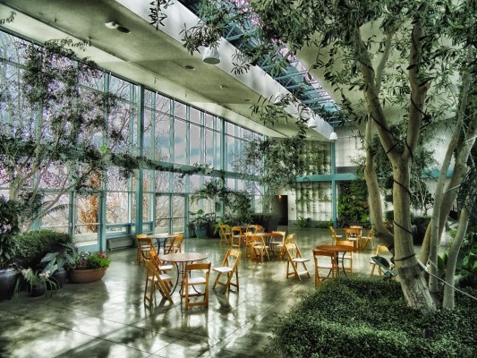 Interior Plant Maintenance and Design Company