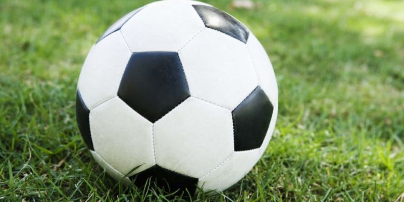 Successful Specialty Sporting Goods Retailer