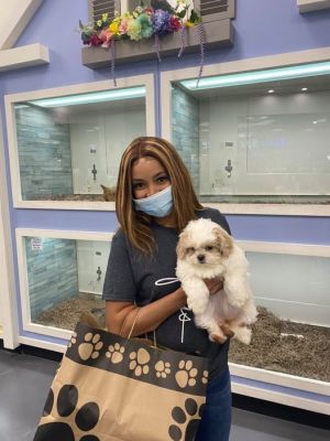 Money Making Machine; EZ to Run Mall Puppy Shop