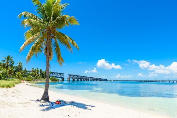 Florida Optometry Practice for Sale