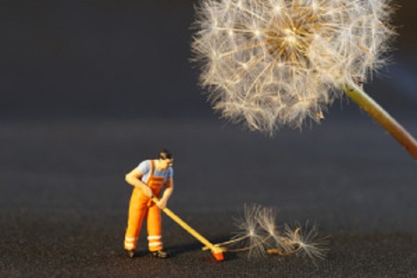 Central TX Janitorial Co For Sale