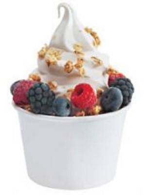 Yogurt Store for Sale in Nassau County, NY