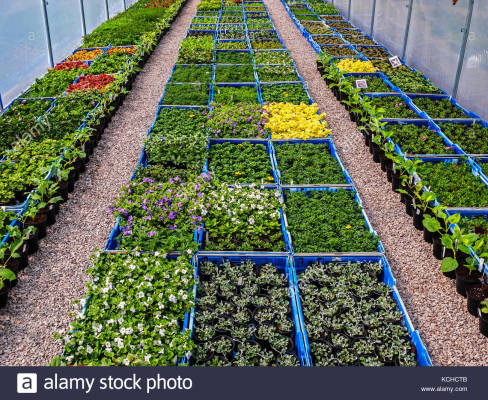 Independent Nursery & Landscape Design Contractor