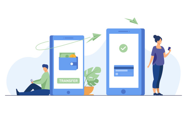 European Authorized Electronic Money Institutions