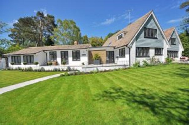 Landscaping Company for Sale in New Haven County