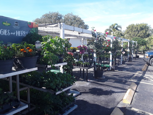 Garden Center with Real Estate