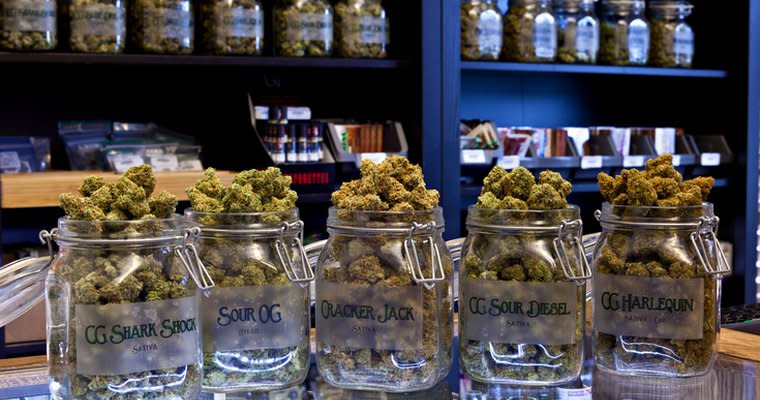 Cannabis Dispensary/Manufacturer for Sale in Massa