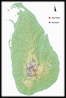 Coconut Plantation for Sale
