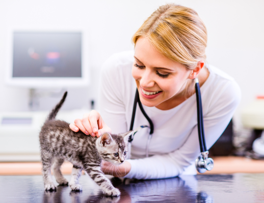 Profitable Veterinarian Clinic