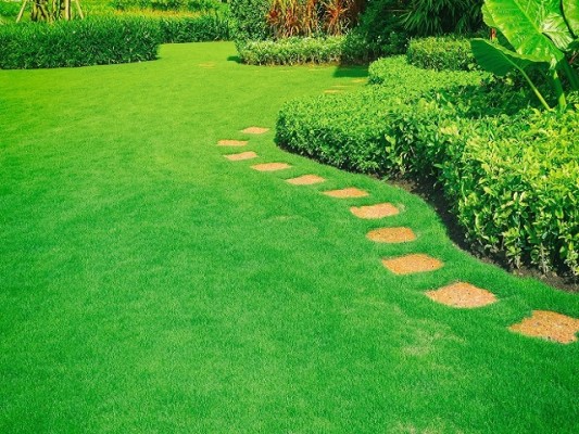 Irrigation Maintenance and L&O Pest Company