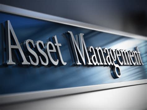 Asset Management Company For Sale In Europe