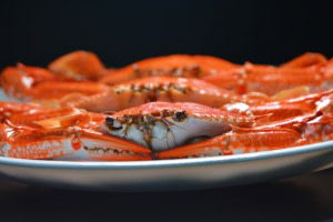 Raleigh Seafood Business For Sale