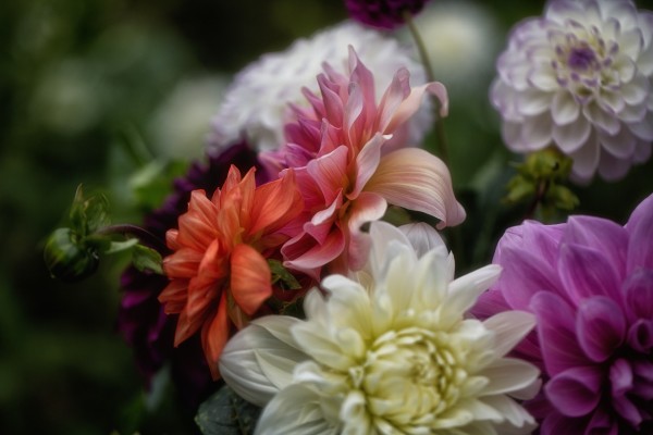 Upscale Boutique Floral Shop for Sale