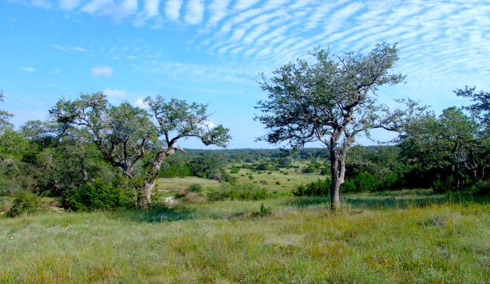 Private Market / Comal County, Texas