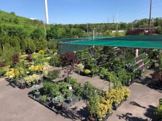 Award Winning Nursery/Garden Center for Sale