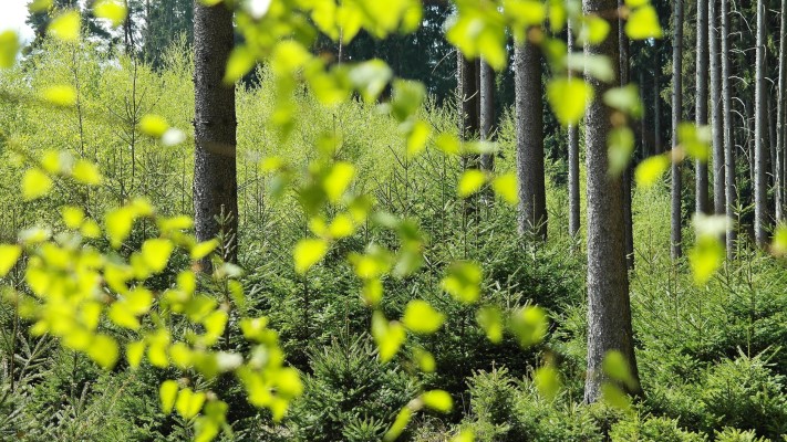 Full Service Environmental Consulting Firm for Sale