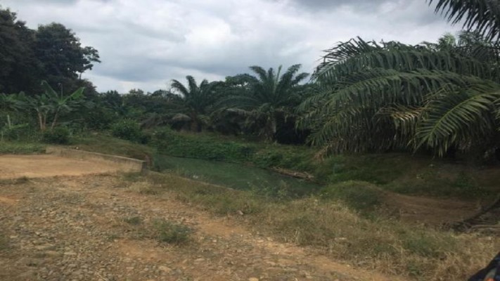 For Sale Hacienda of 100 Fertile Hectares
