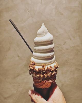 Ice Cream and Fast Food Franchise