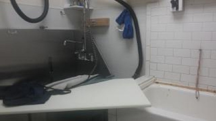 Pet Grooming Business in Union County, NJ