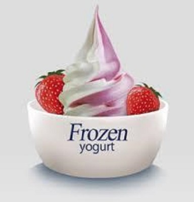 Yogurt & Smoothie Franchise for Sale in Rockland