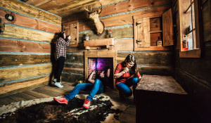 Absentee Owner: Escape Room/Price Reduced