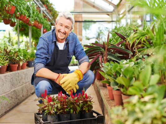 Nursery & Garden Center