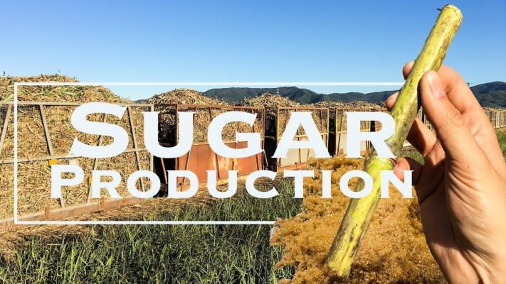Invest Sugar Industry in Sri Lanka