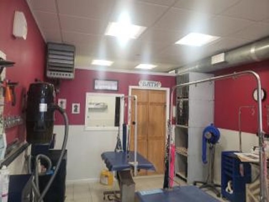 Grooming Business for Sale in Putnam County
