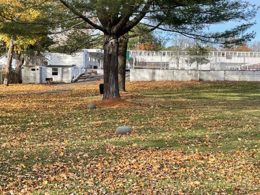 A Spacious Property With Unlimited Potential