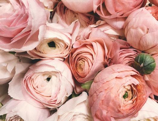 Florist