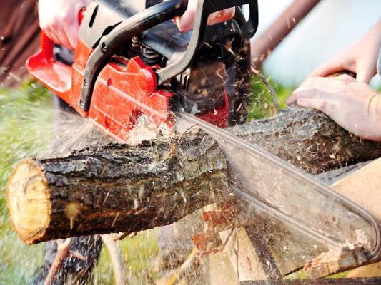 Arborist Business with Seller Note Available