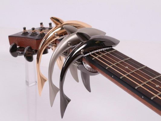 Guitar Gift, Accessories and Decor eCommerce Brand