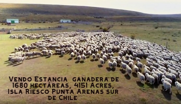For sale Field of 4,151 Acres Punta Arenas Chile