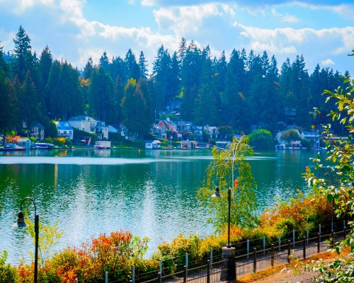 Chiropractic Practice for Sale in Lake Oswego OR