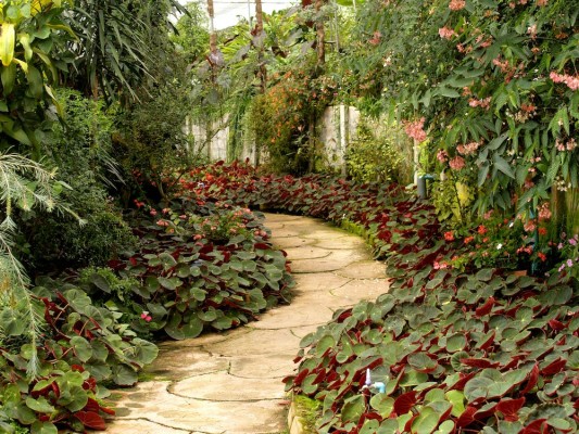 Landscaping Company