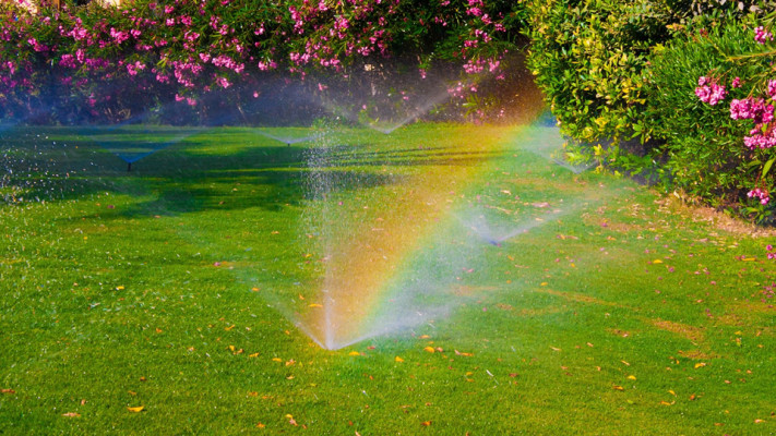 First-Rate Landscape Business