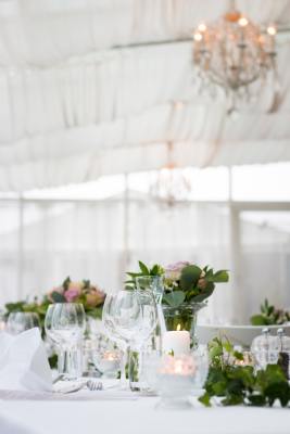 Tent / Party Rental Company