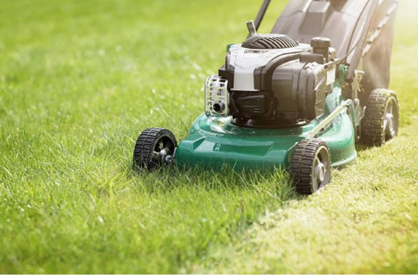 Established Commercial Lawn Maintenance Business