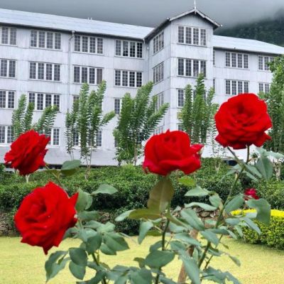World Class Factory With Tea Estate For Sale
