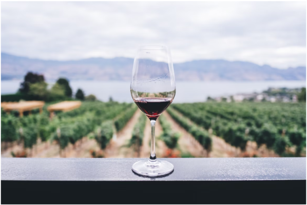 Winery in Northern California