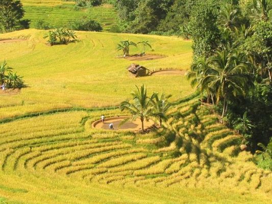 Land for Sale Horana, Sri Lanka