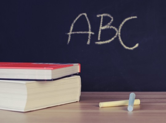 Profitable Franchise Kids Learning Center