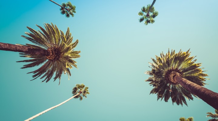 Los Angeles (Westside) CPA Firm for Sale