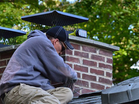 Complete Pest Solutions