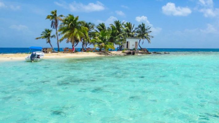 Art Dealership in Paradise-Like Location in Belize