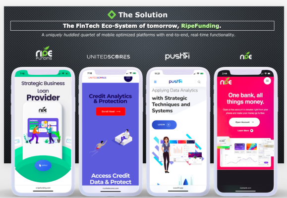 FinTech Firm Seeking Partnerships for Expansion
