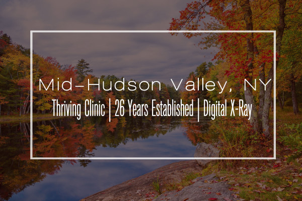 Contemporary Clinic for Sale in Mid-Hudson Valley